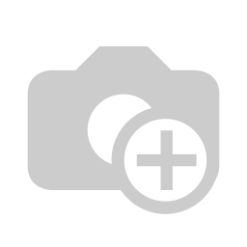 Gitane ORGAN'E-Central