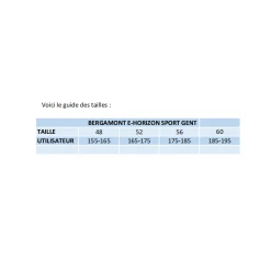 Bergamont E-Horizon Sport Gent Gold - 2022