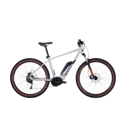 Bulls LT Performance 29P - 2022