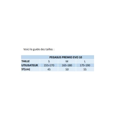 Pegasus Premio Evo 10 Lite Wave - 2022