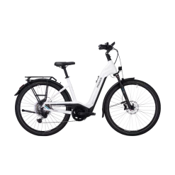 Pegasus Premio Evo 11 "40 Years" - 2022