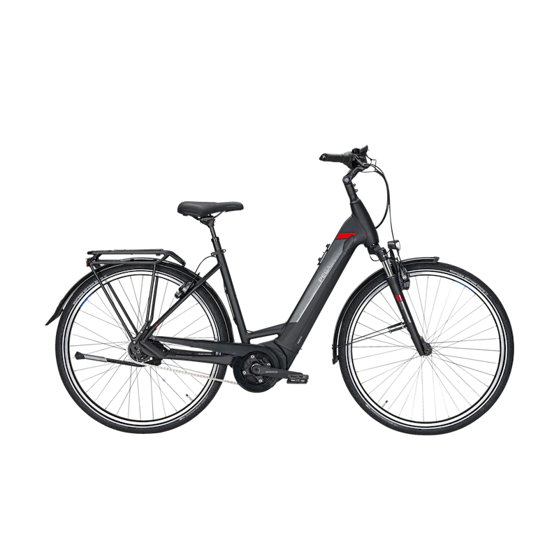 Pegasus Premio Evo 5F - 2021 4 Pegasus Premio Evo 5F - 2021 – Image 2